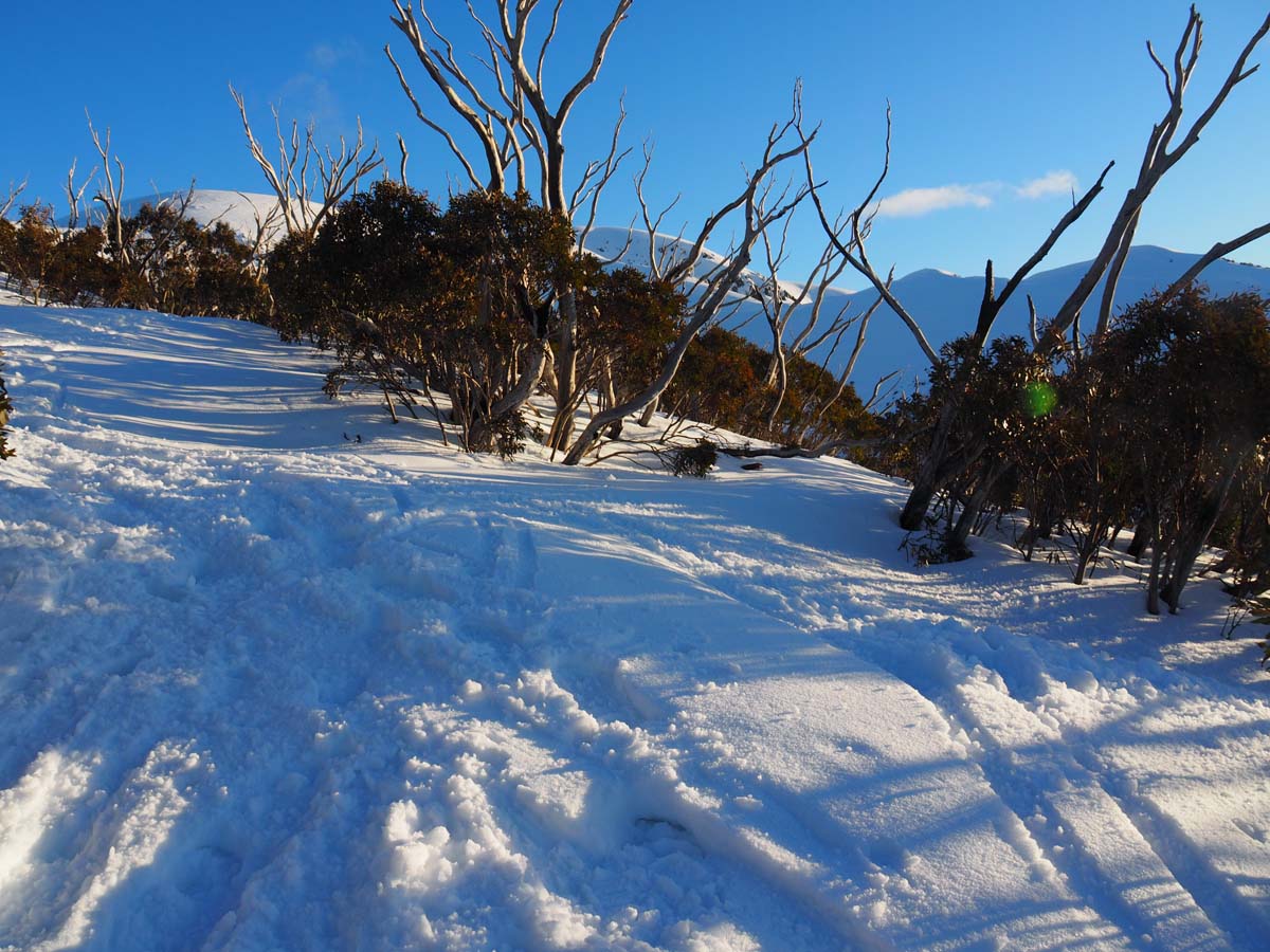 Mount bogong staircase spur hike 127