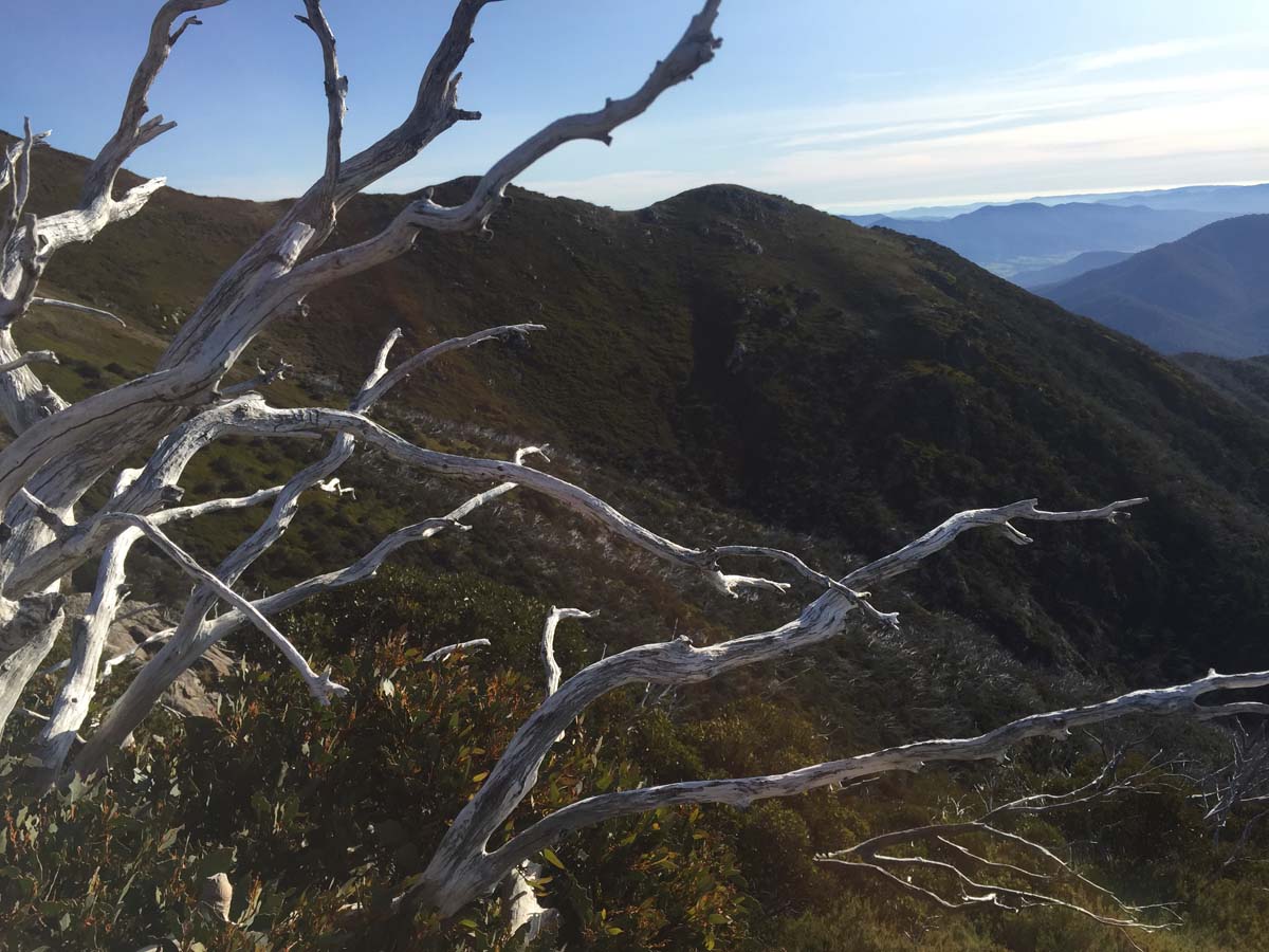 Mount bogong staircase spur hike 55