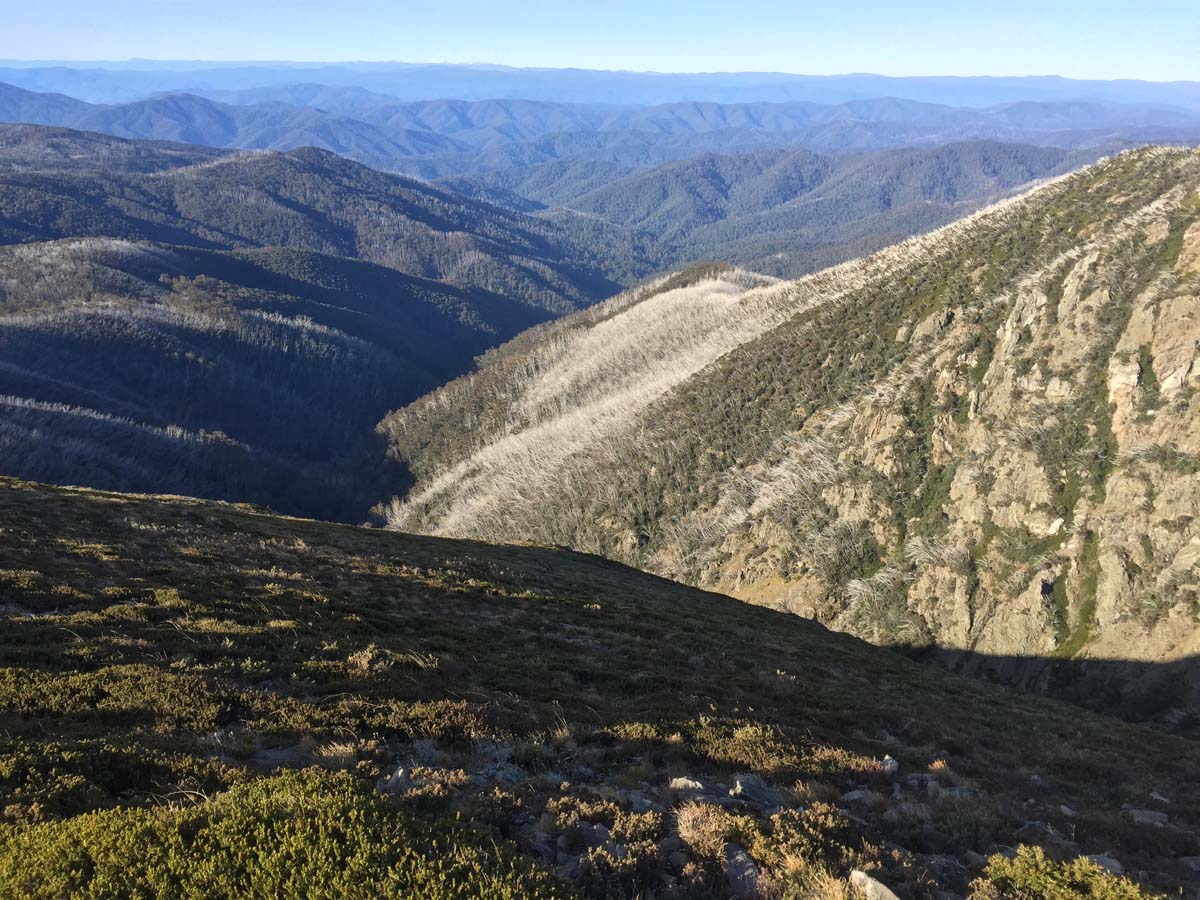 Mount bogong staircase spur hike 58