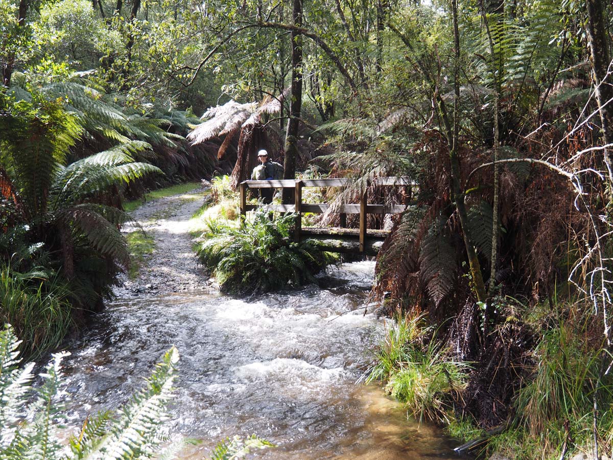 Mount bogong staircase spur hike 71