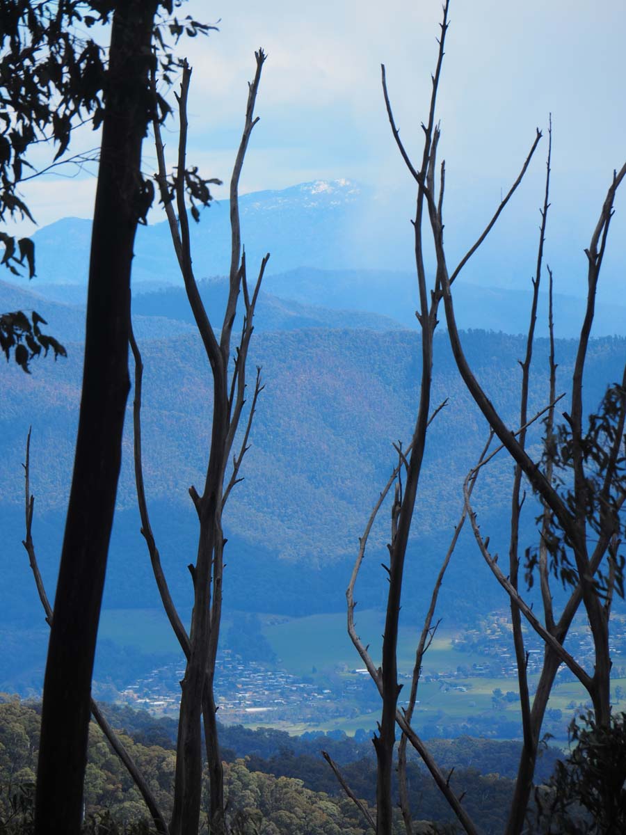 Mount bogong staircase spur hike 76