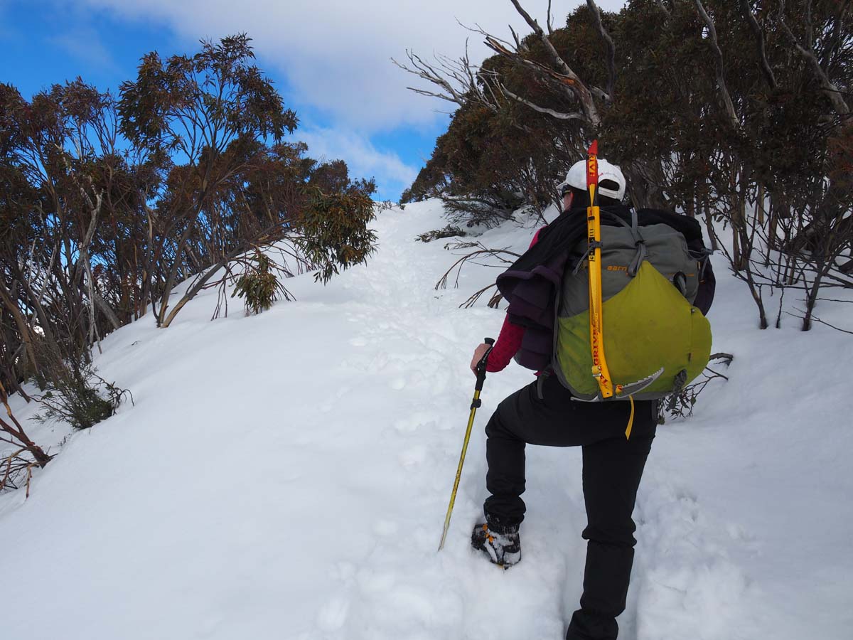 Mount bogong staircase spur hike 95