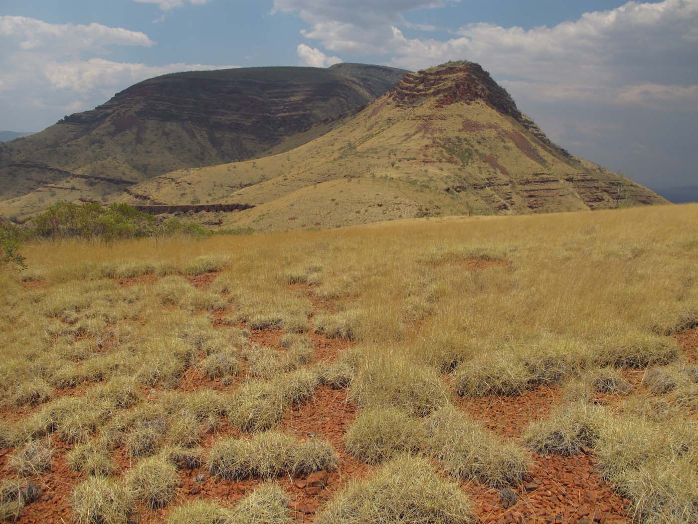 Mount bruce summit hike karijini (8)