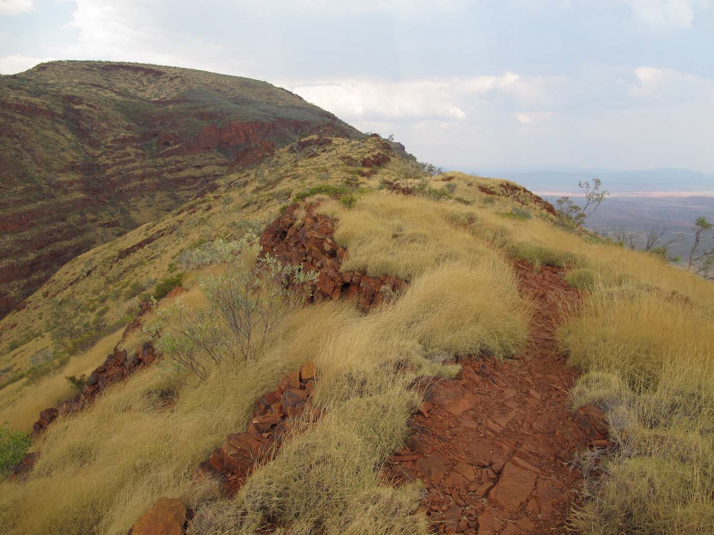 Mount bruce summit hike karijini (9)