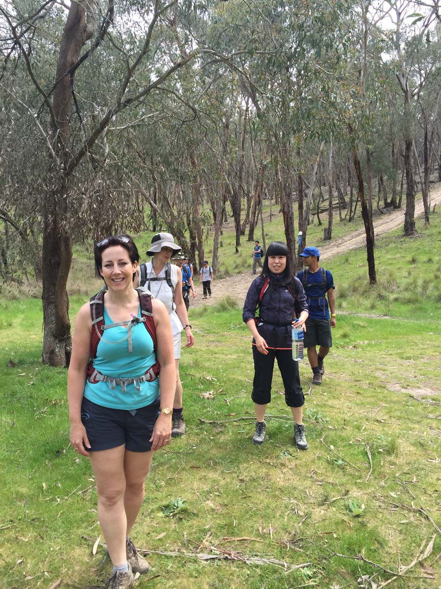 Mount buangor walk 1