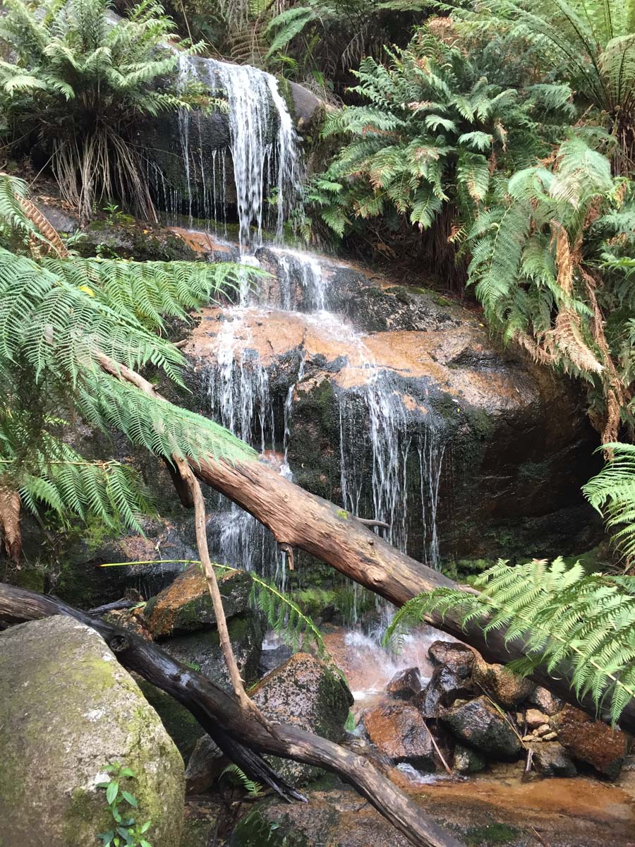 Mount buangor walk 16