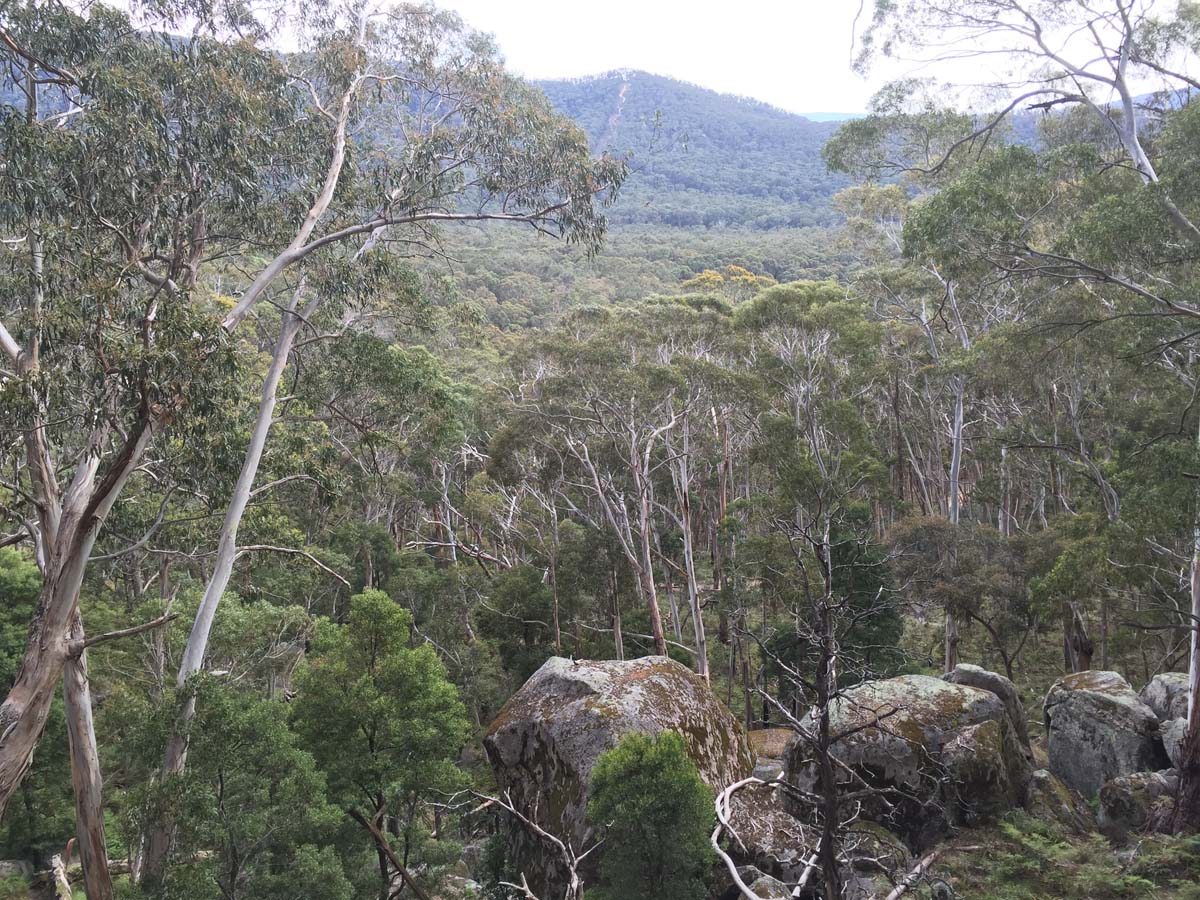 Mount buangor walk 28