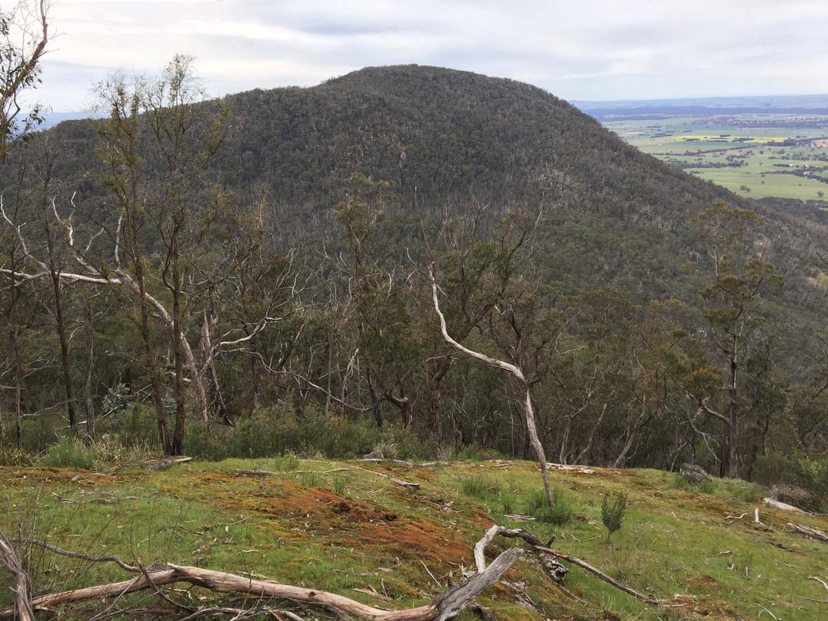 Mount buangor walk 29