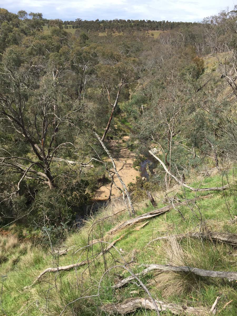 Mount buangor walk 3