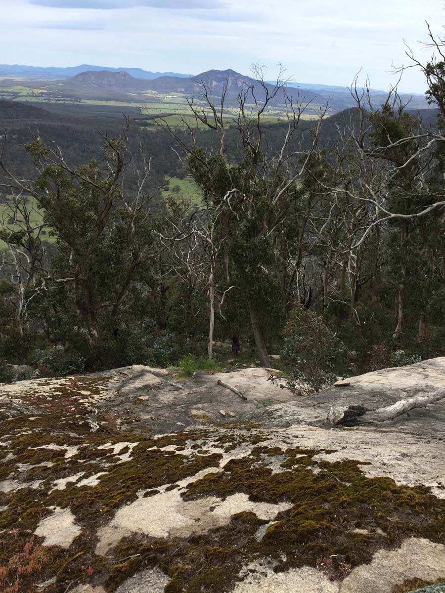 Mount buangor walk 30