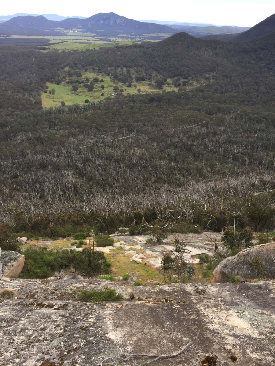 Mount buangor walk 31