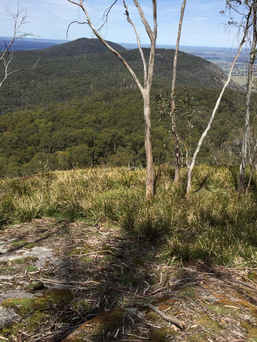 Mount buangor walk 32