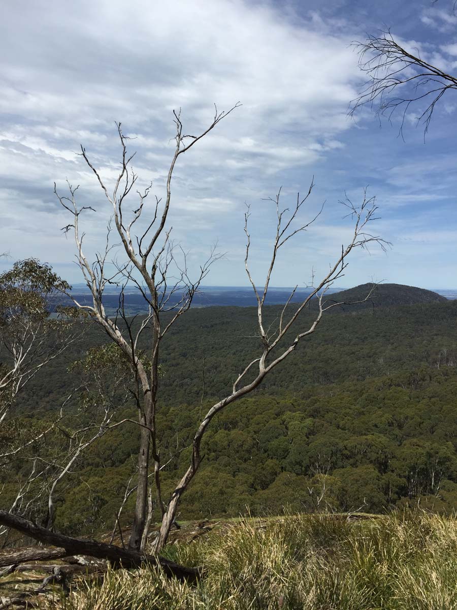 Mount buangor walk 34