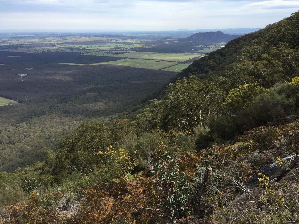 Mount buangor walk 36