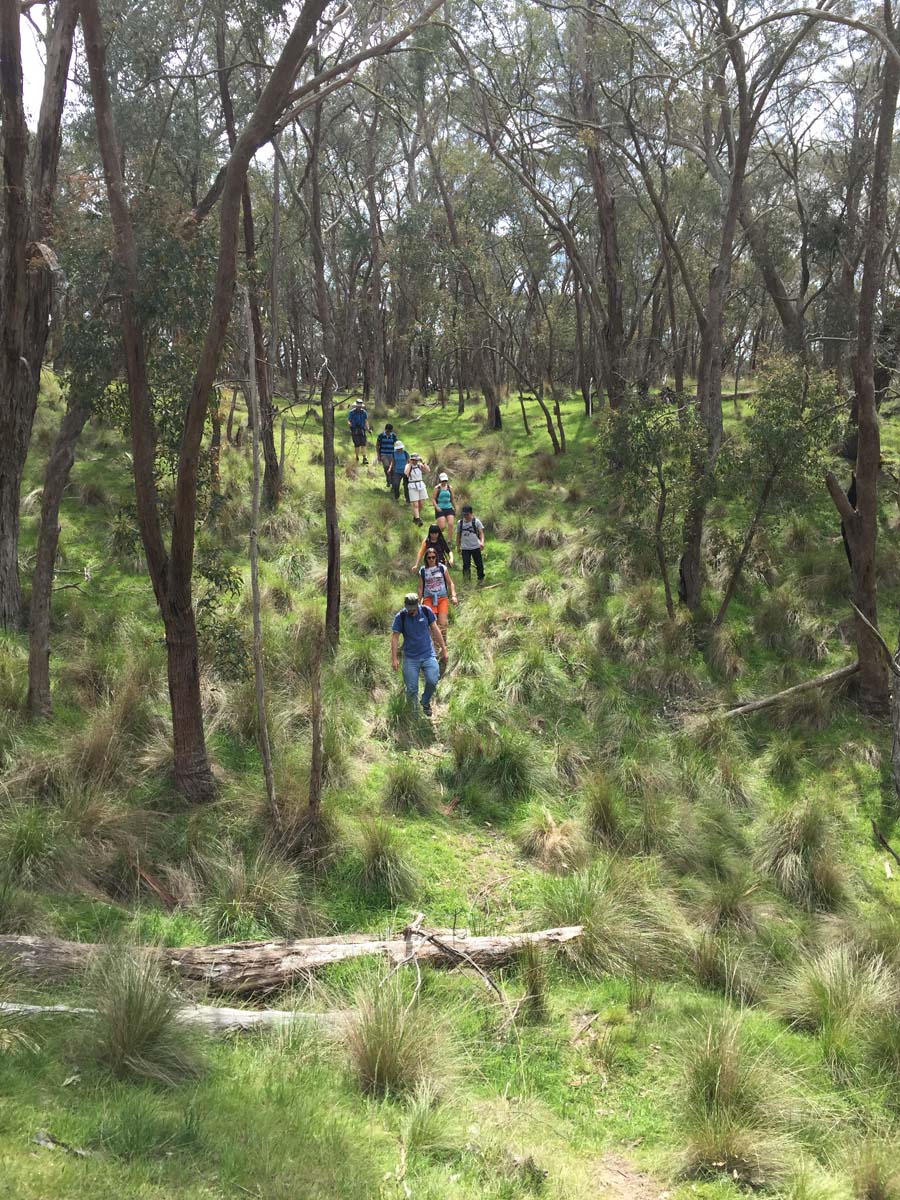 Mount buangor walk 8