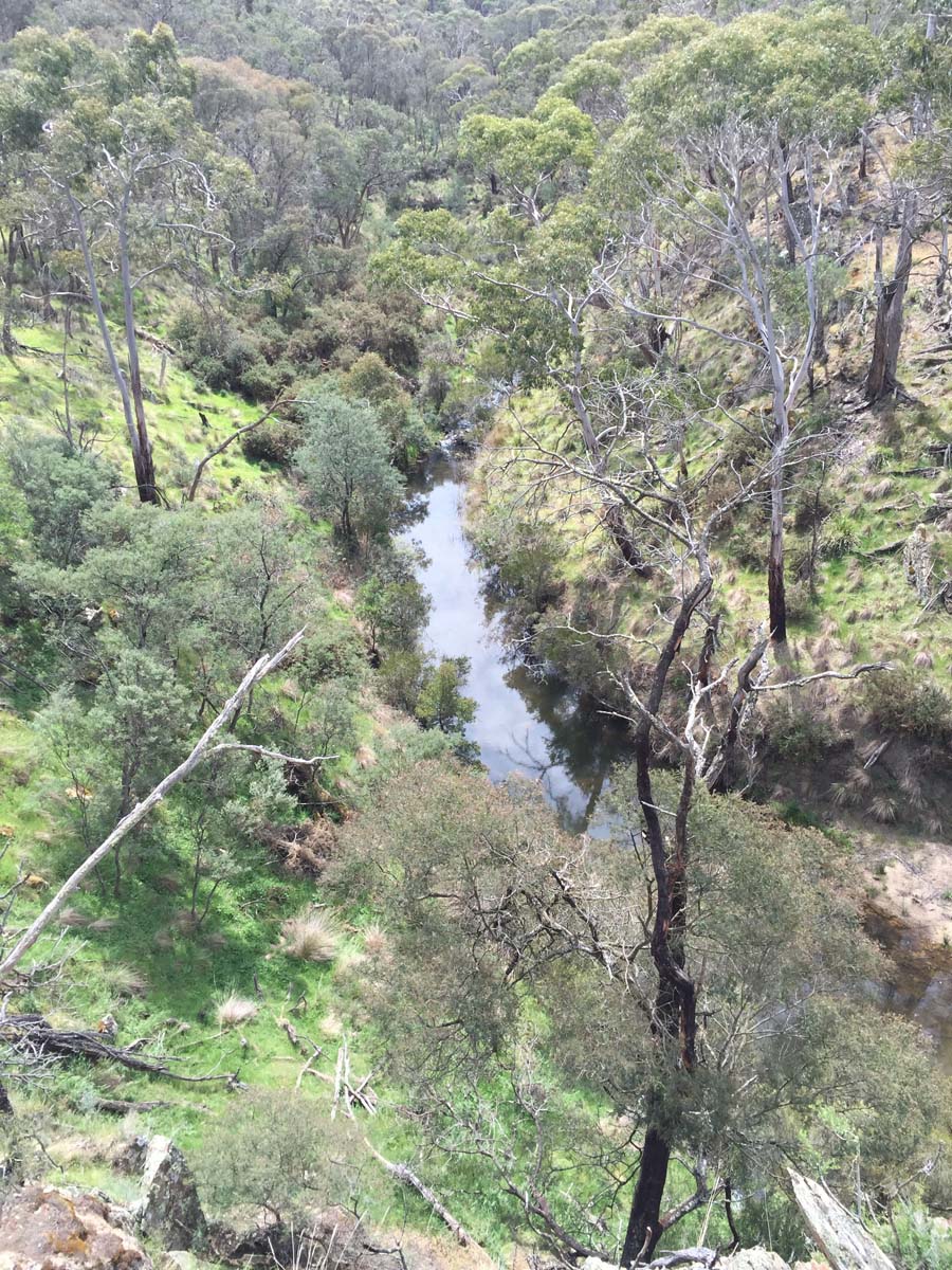 Mount buangor walk 9