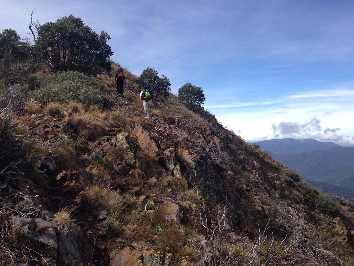 Mount buller traverse hike 10