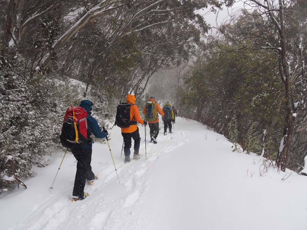 Mount buller traverse hike 105