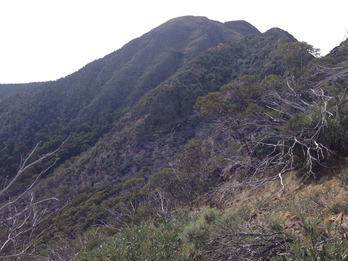 Mount buller traverse hike 11