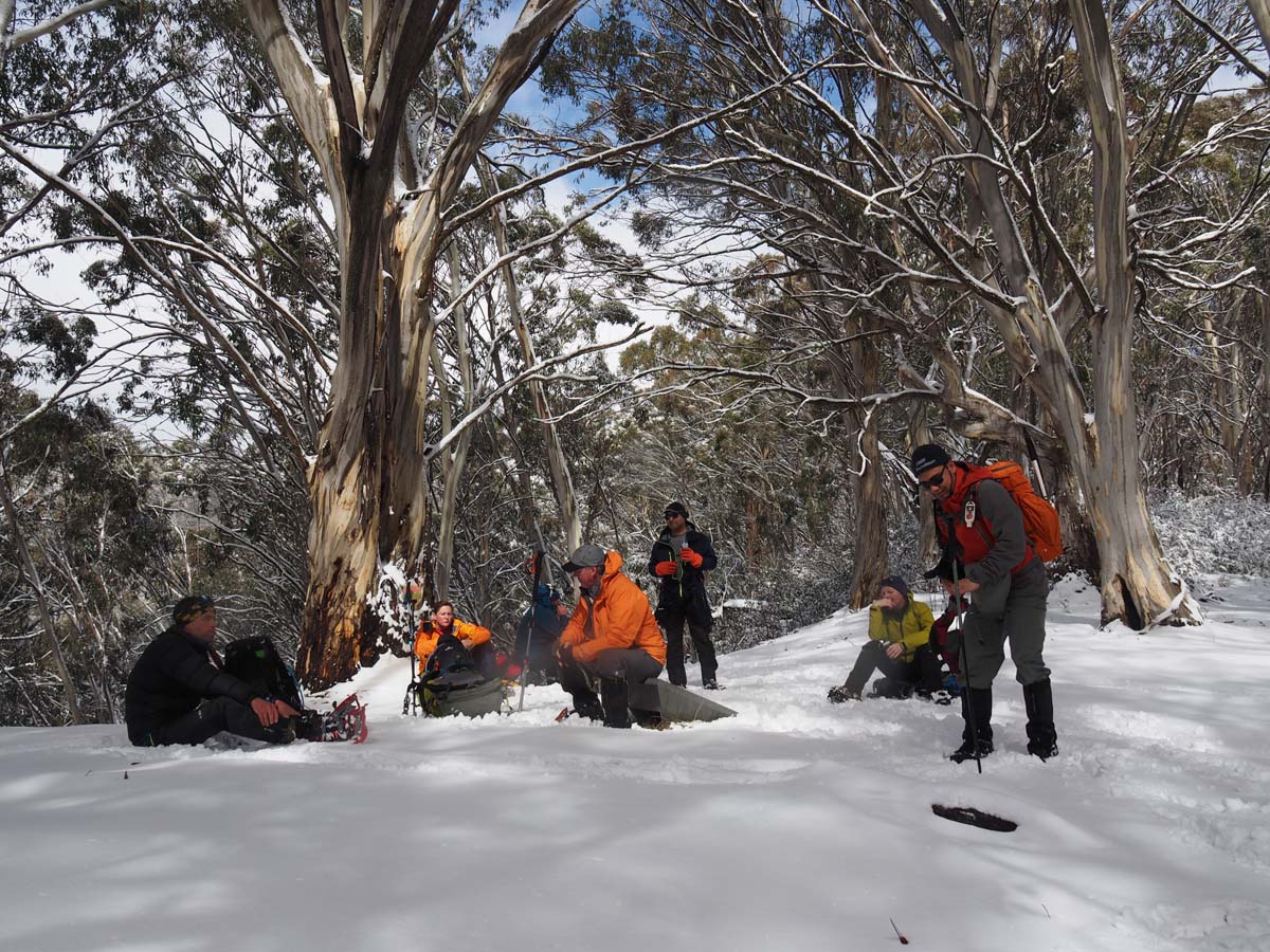 Mount buller traverse hike 110