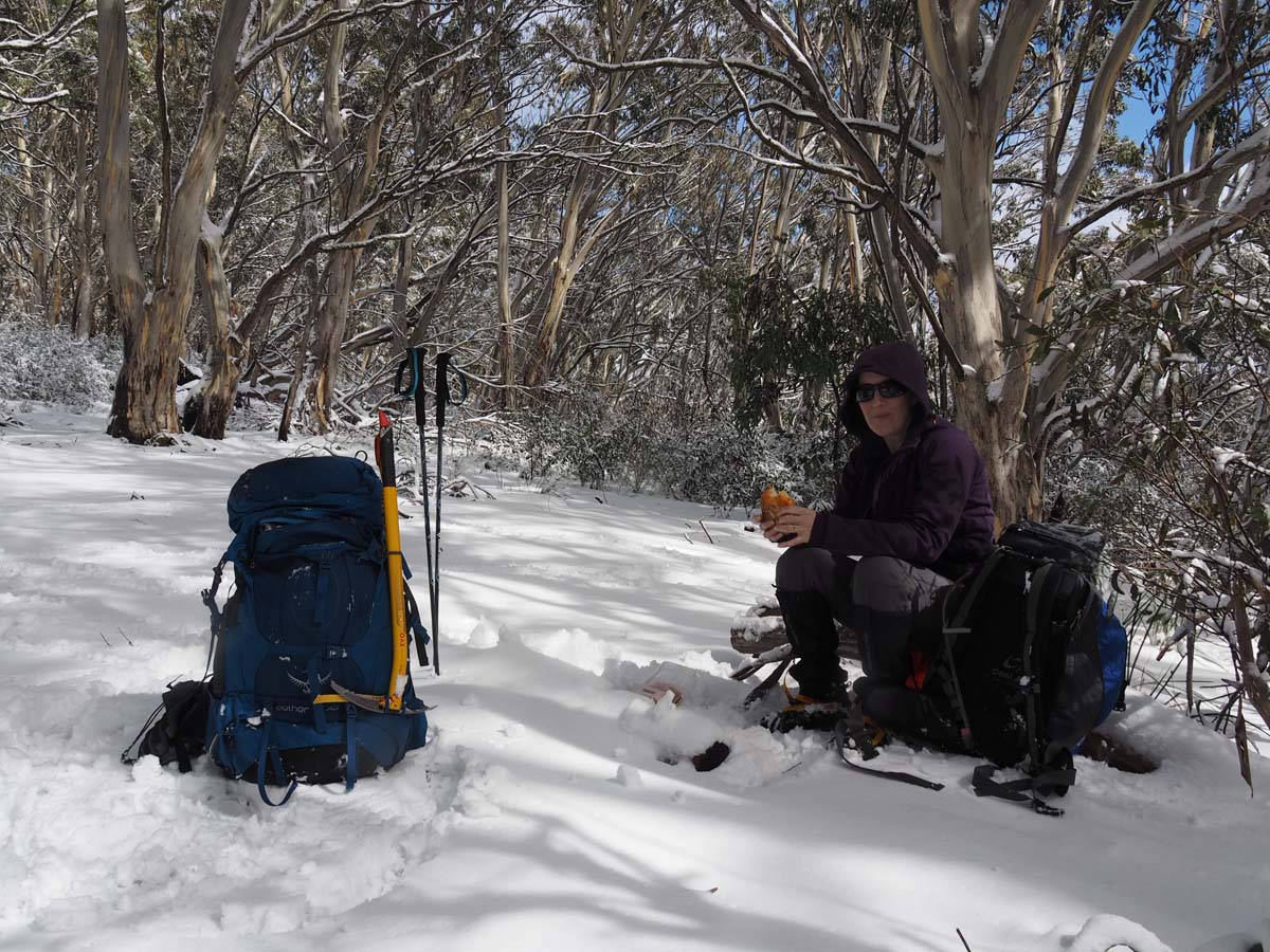Mount buller traverse hike 111
