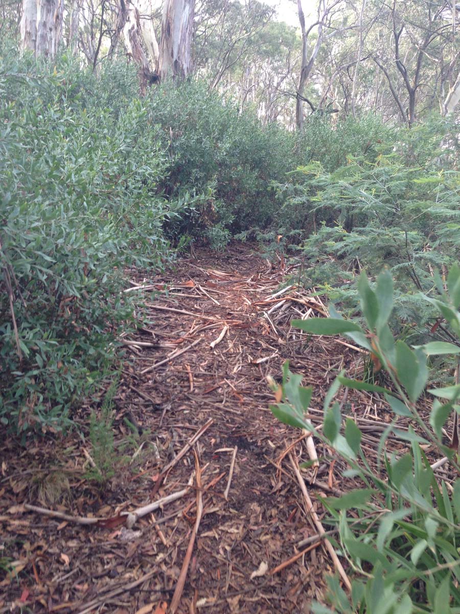 Mount buller traverse hike 2