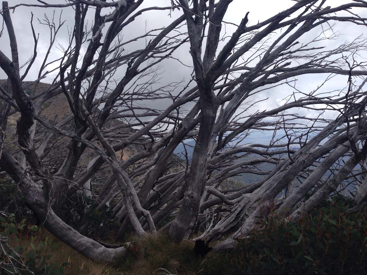 Mount buller traverse hike 24