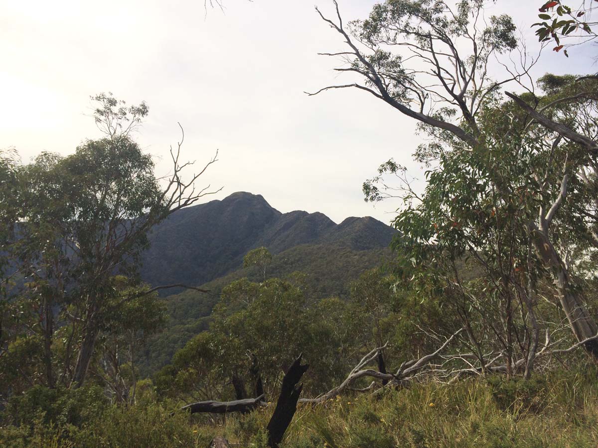 Mount buller traverse hike 28