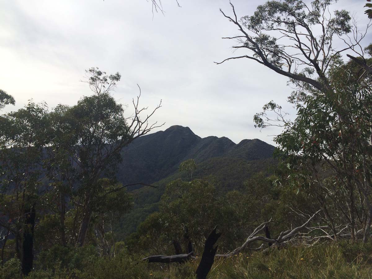 Mount buller traverse hike 31