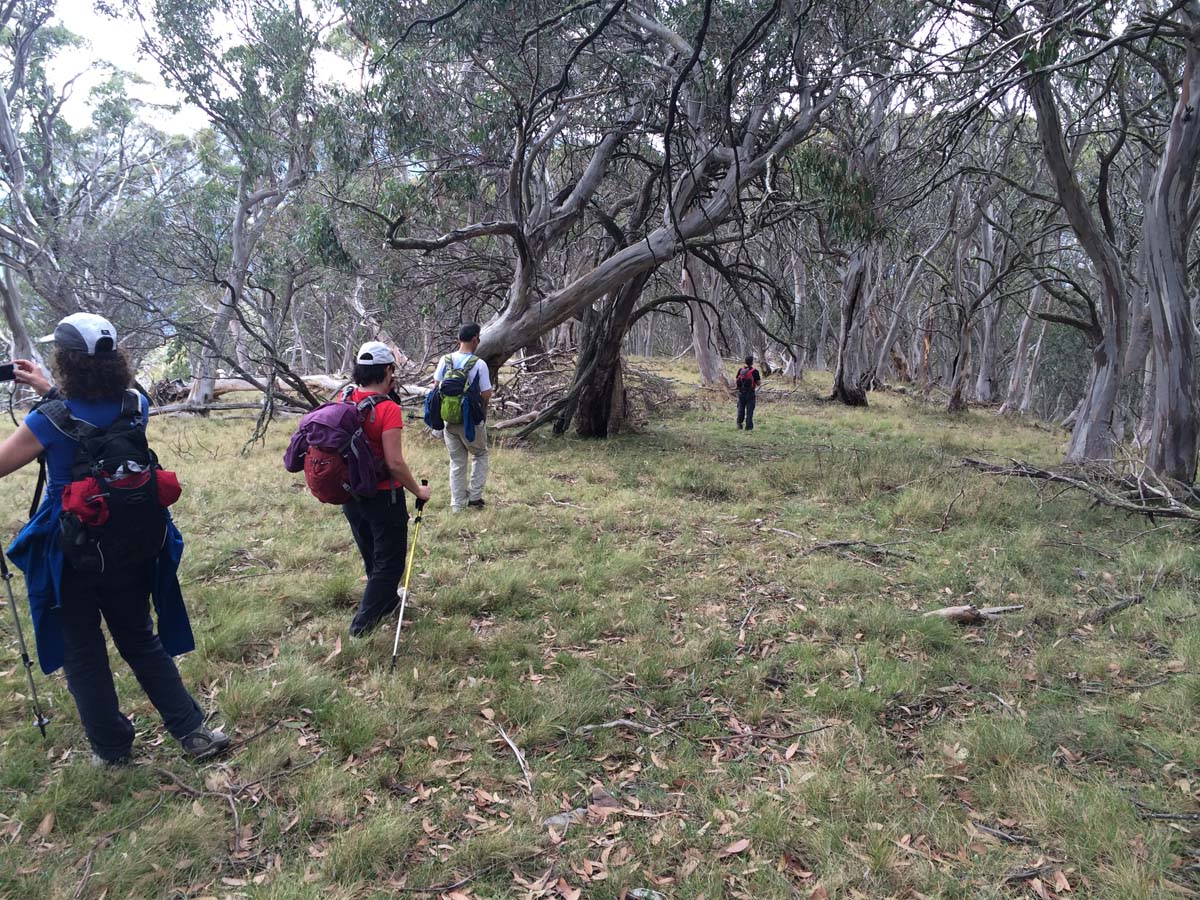 Mount buller traverse hike 52