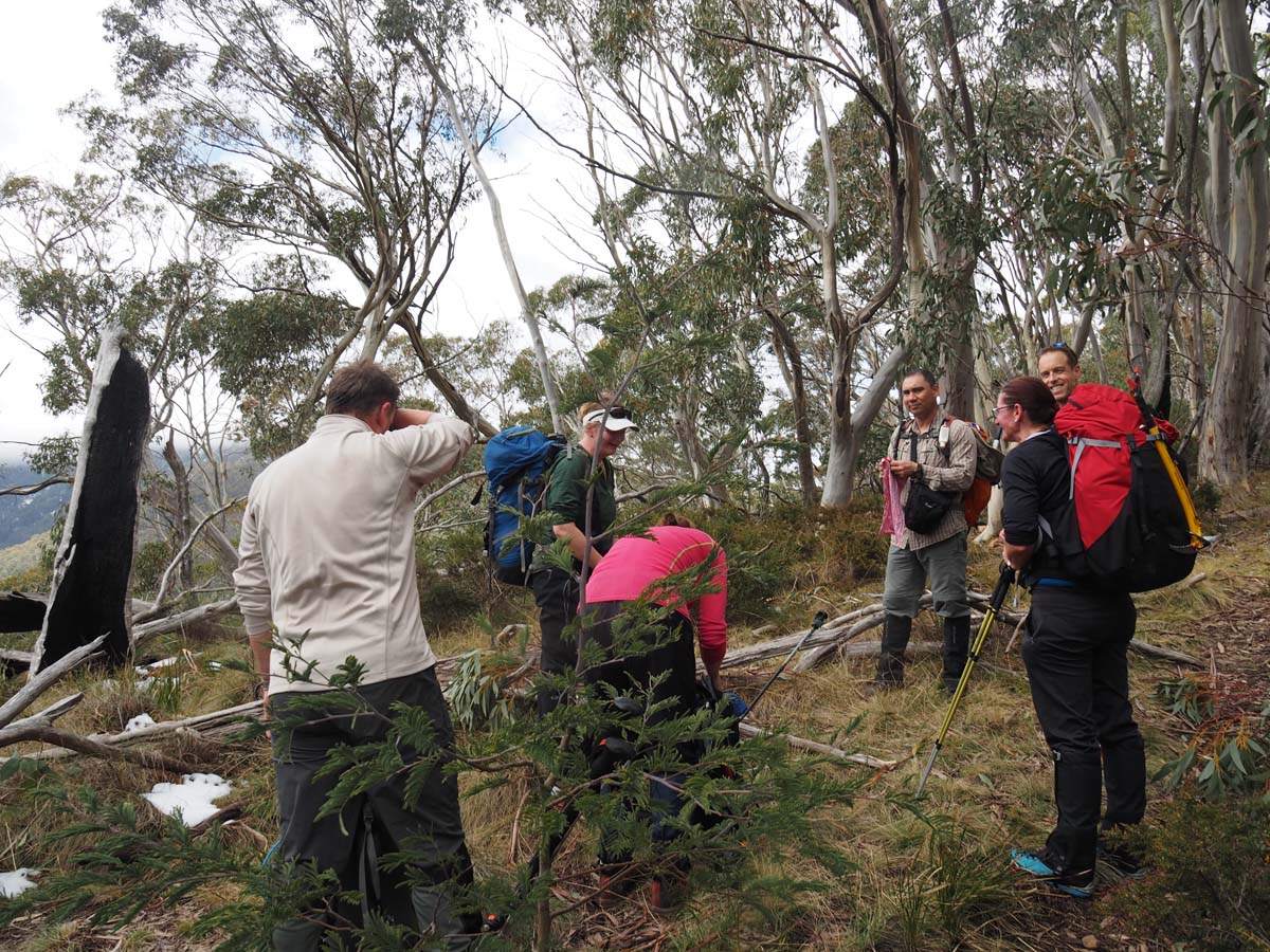 Mount buller traverse hike 57