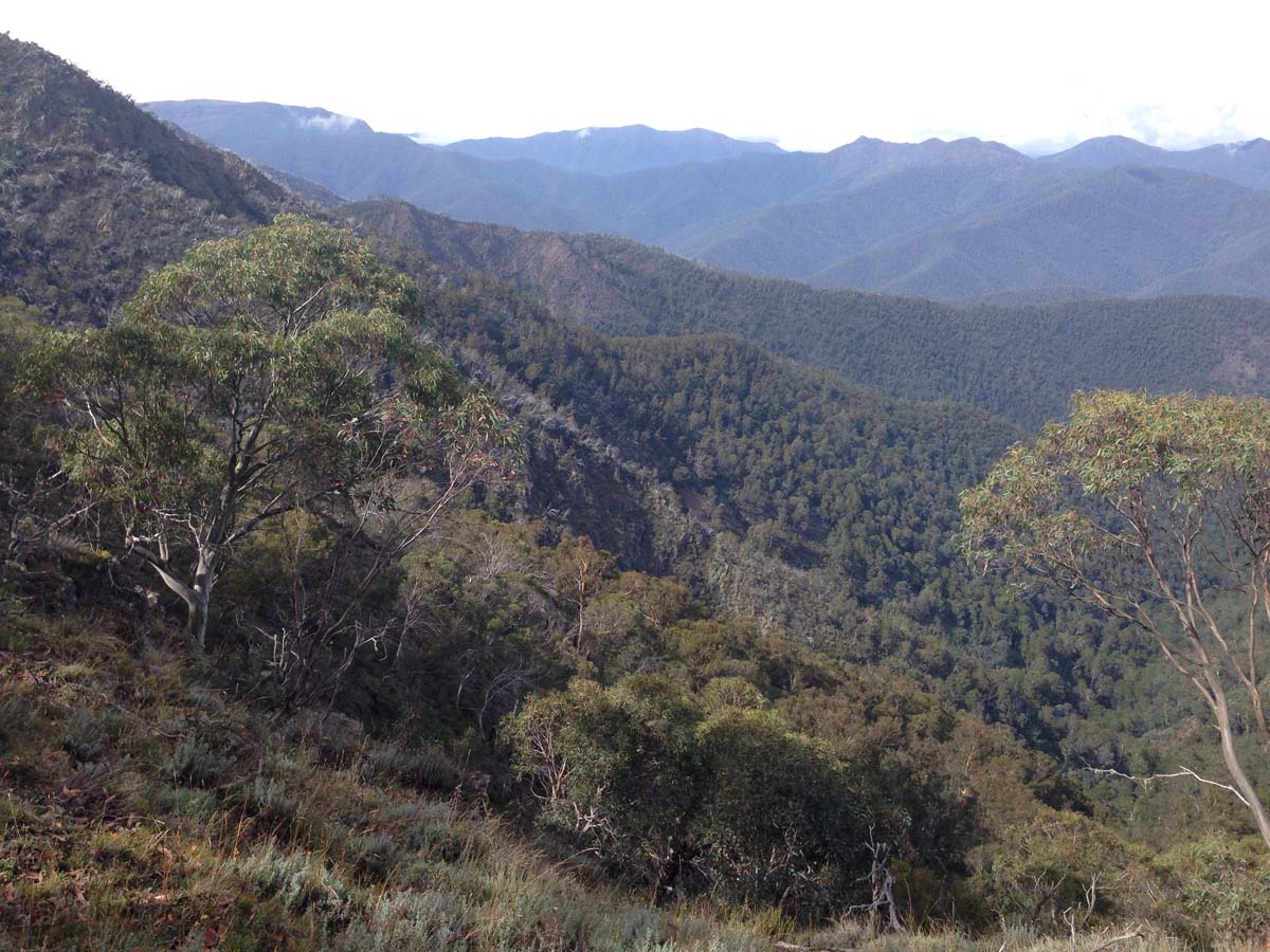 Mount buller traverse hike 6