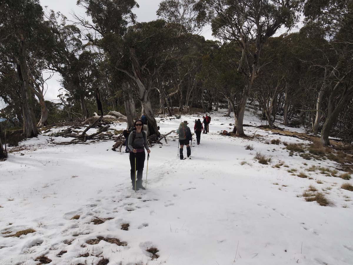 Mount buller traverse hike 61