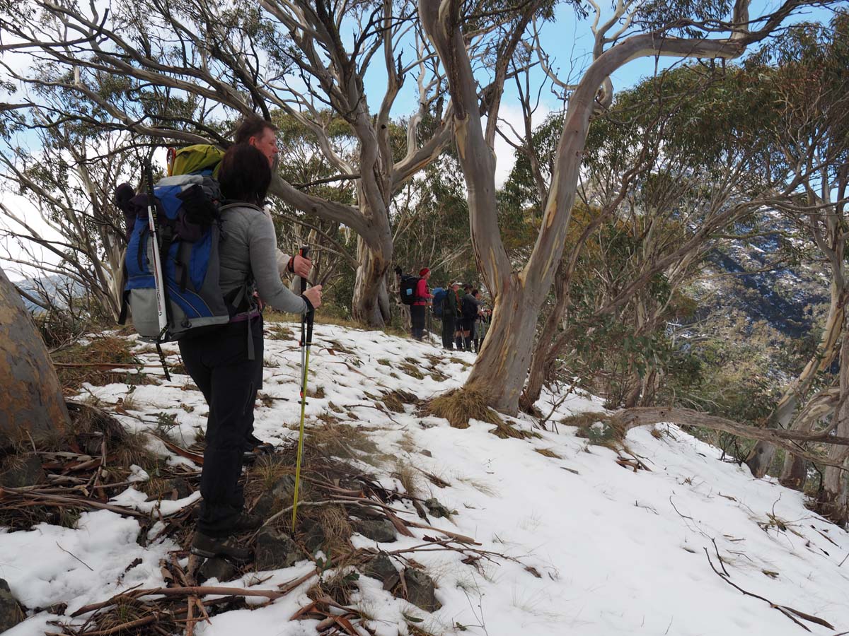 Mount buller traverse hike 66