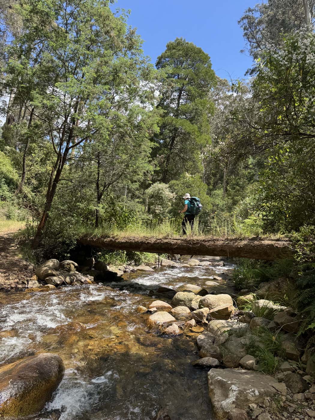 Mount buller and mount stirling loop (11)