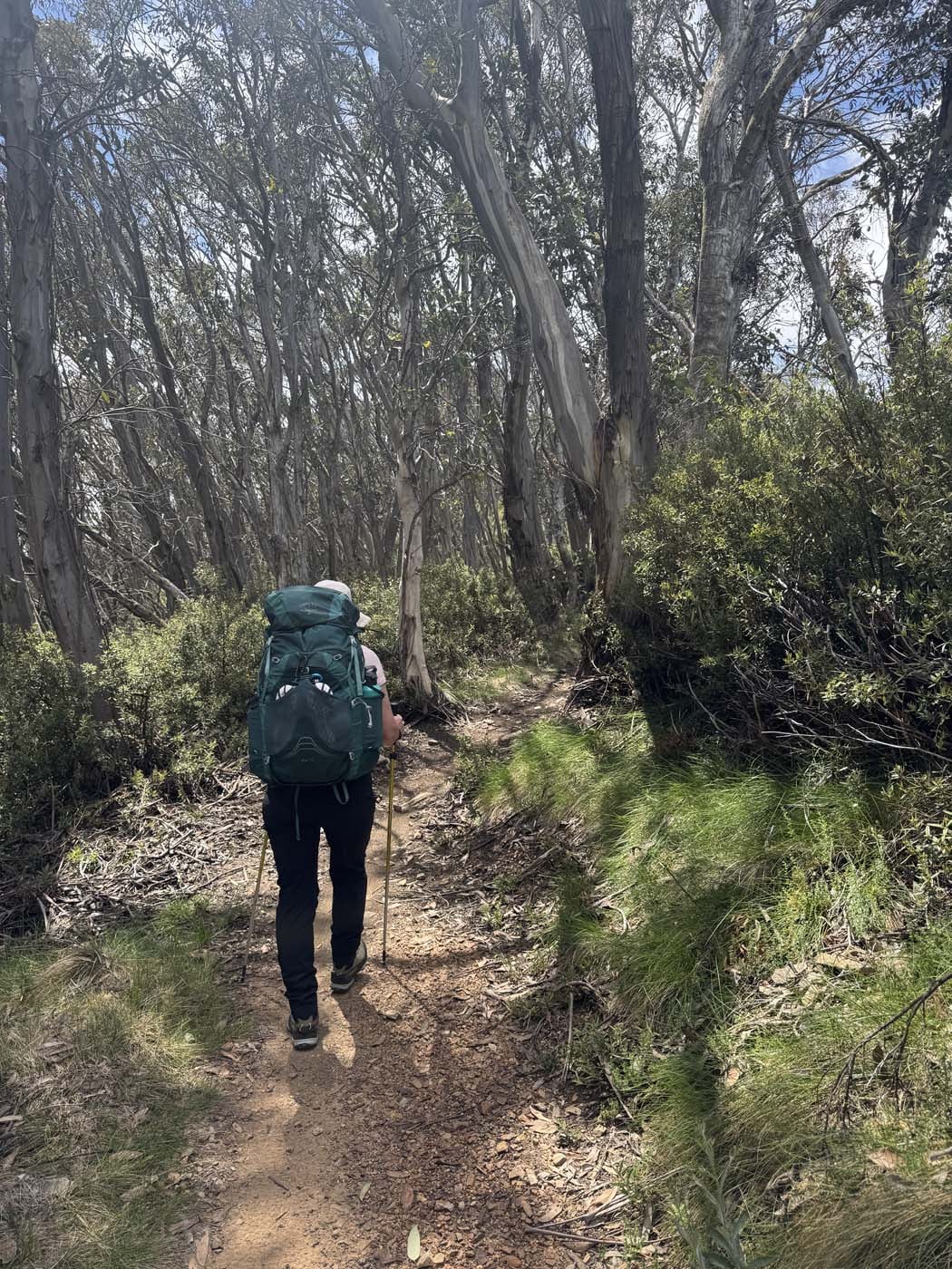 Mount buller and mount stirling loop (14)