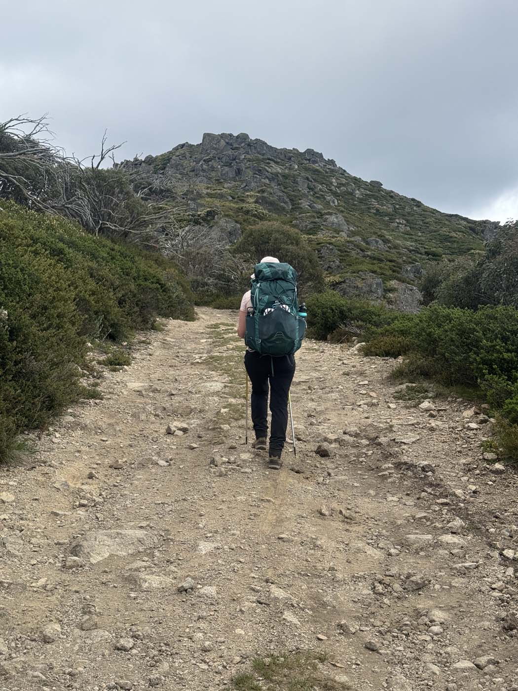 Mount buller and mount stirling loop (15)