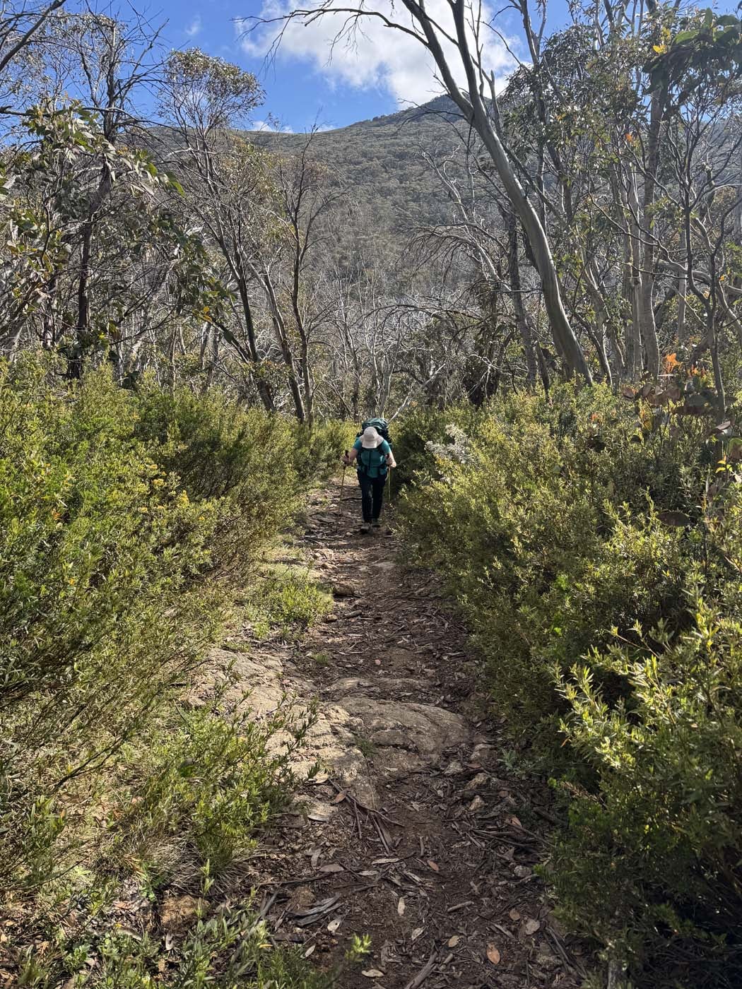 Mount buller and mount stirling loop (6) 1