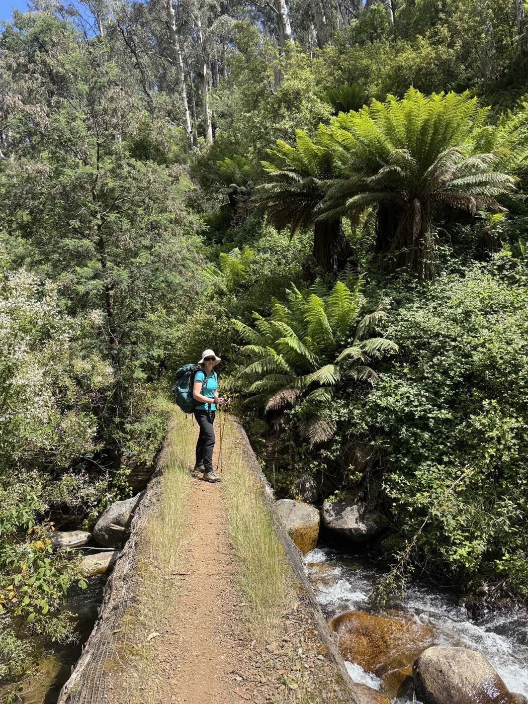 Mount buller and mount stirling loop (9)