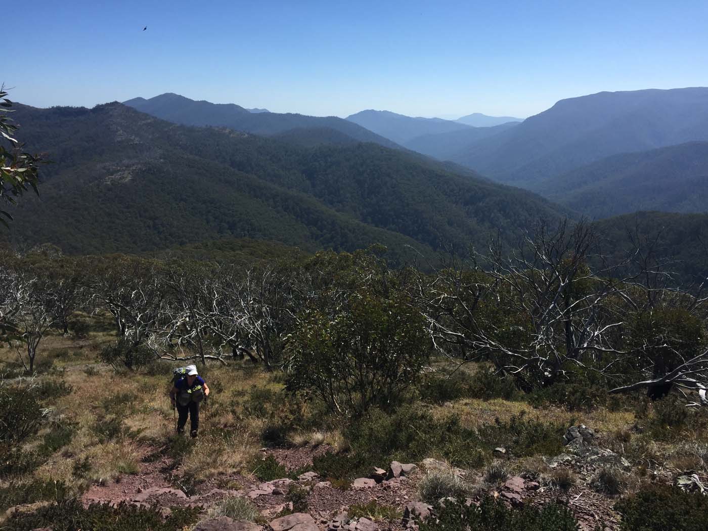 Mount clear traverse hike 17