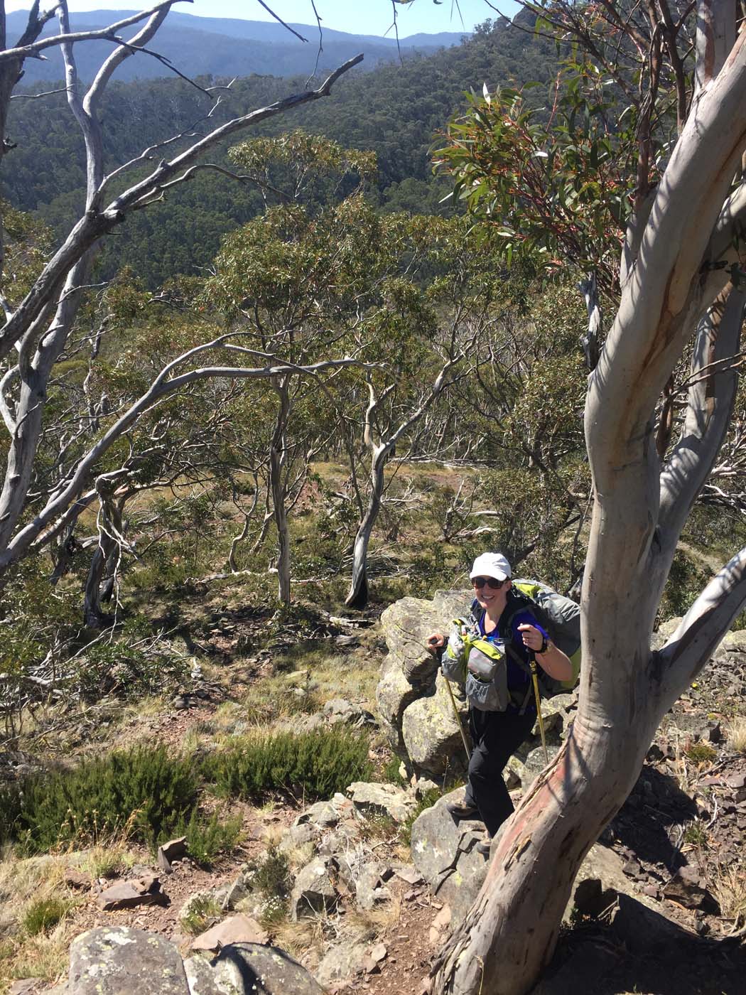 Mount clear traverse hike 19