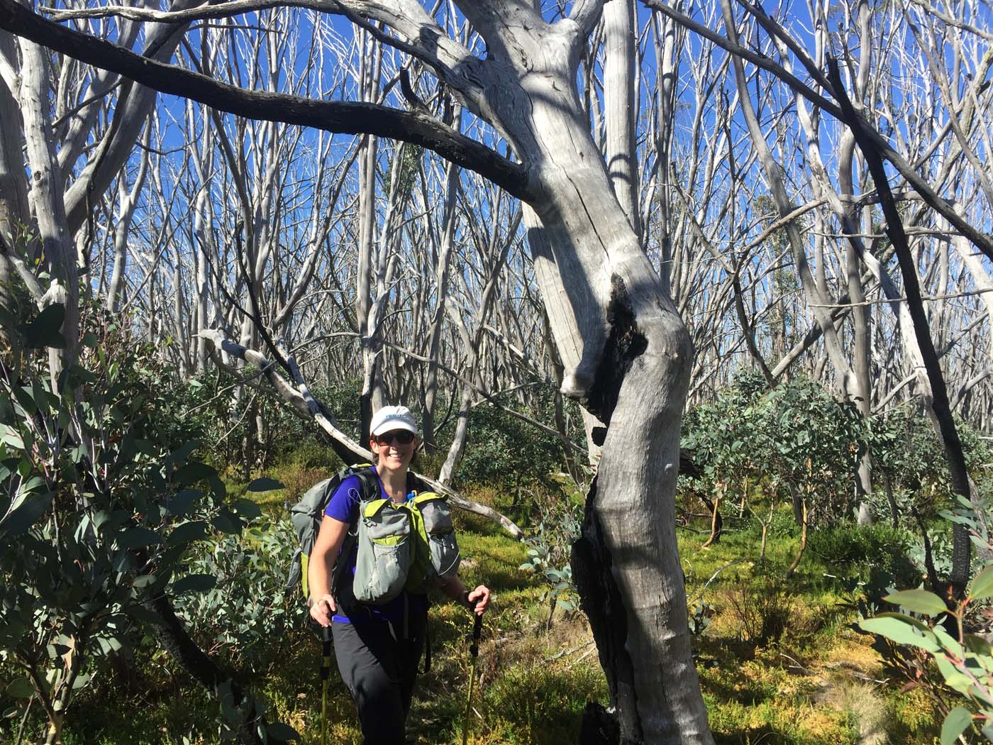 Mount clear traverse hike 20