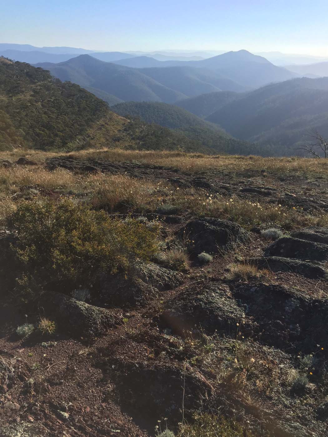 Mount clear traverse hike 31