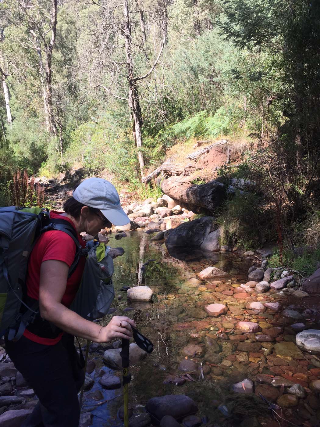 Mount clear traverse hike 44