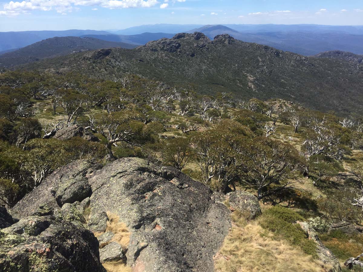 Mount cobberas circuit hike 23