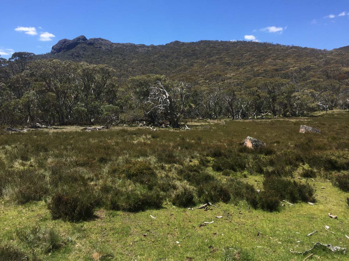 Mount cobberas circuit hike 3