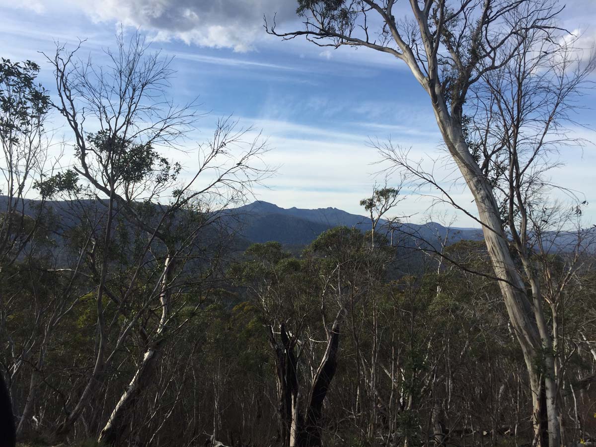 Mount cobberas circuit hike 31