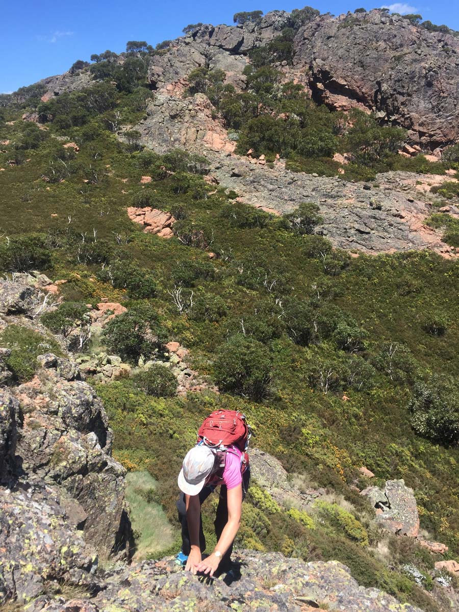 Mount cobberas circuit hike 38