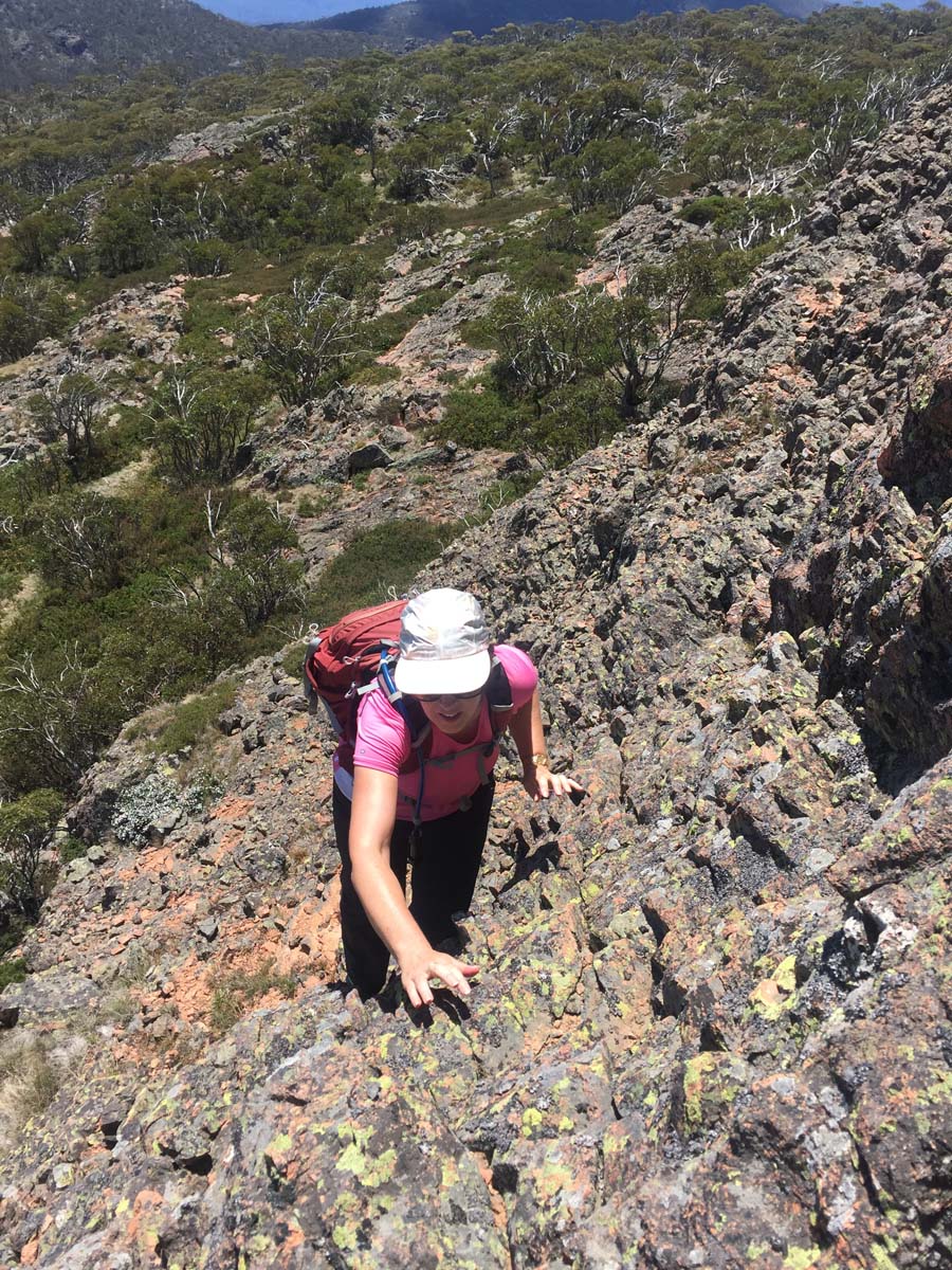 Mount cobberas circuit hike 45