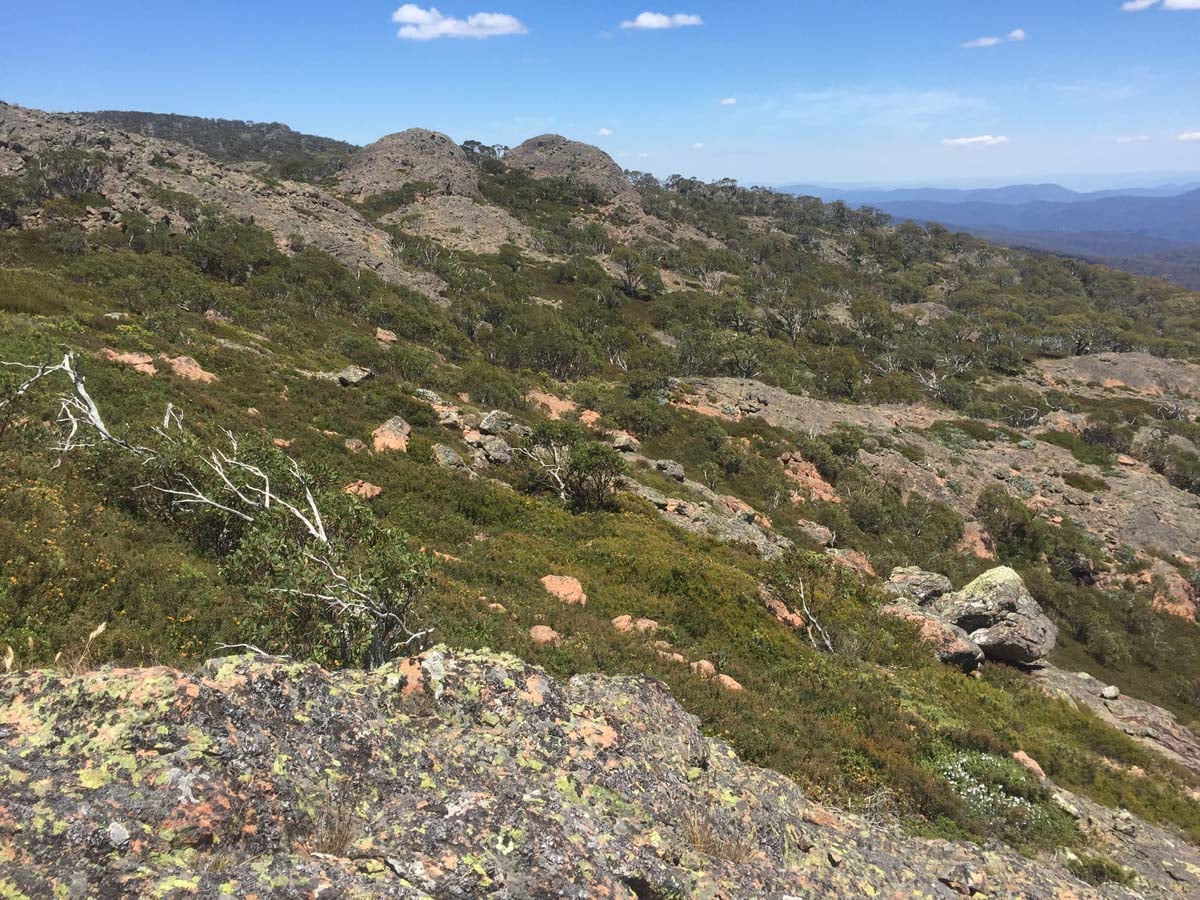 Mount cobberas circuit hike 8